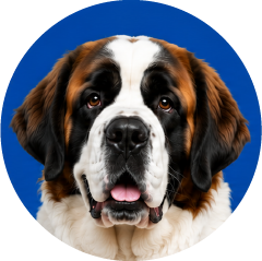 Perro en plan ELITE
